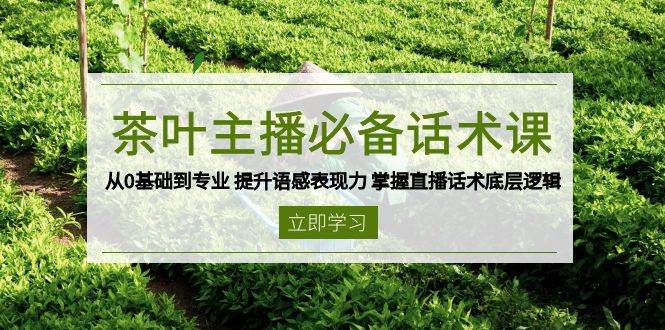 茶叶主播必备话术课 从0基础到专业 提升语感表现力 掌握直播话术底层逻辑-一起网创
