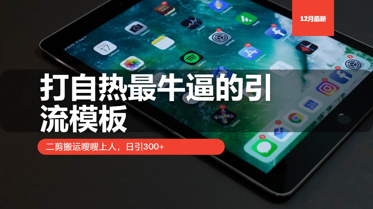 （13654期）打自热最牛逼的引流模板，二剪搬运嗖嗖上人，日引300+-一起网创