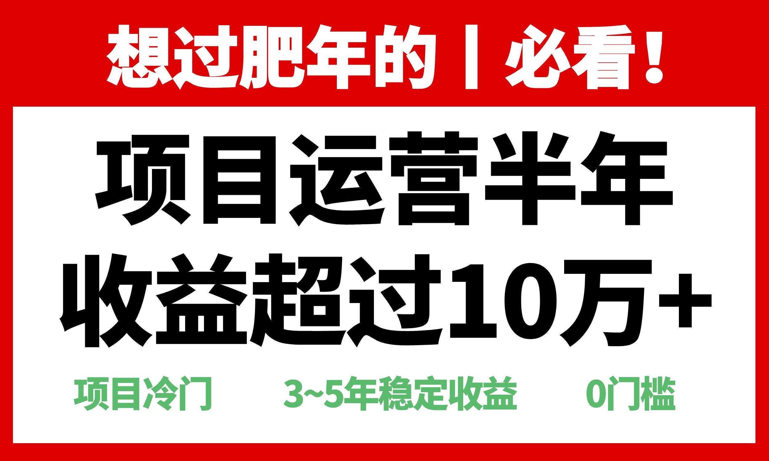 （13663期）年前过肥年的必看的超冷门项目，半年收益超过10万+，-一起网创