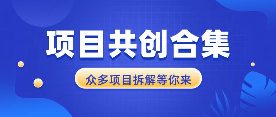（13778期）项目共创合集，从0-1全过程拆解，让你迅速找到适合自已的项目-一起网创