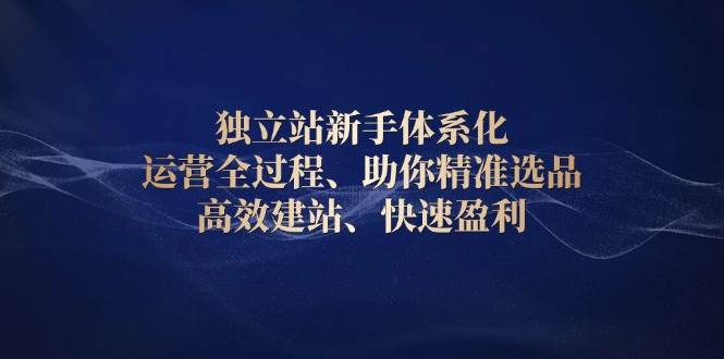 （13914期）独立站新手体系化 运营全过程，助你精准选品、高效建站、快速盈利-一起网创
