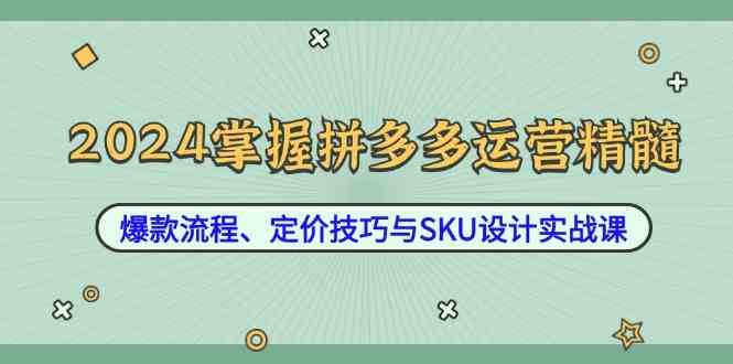 2024掌握拼多多运营精髓：爆款流程、定价技巧与SKU设计实战课-一起网创