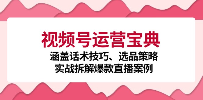 视频号运营宝典：涵盖话术技巧、选品策略、实战拆解爆款直播案例-一起网创