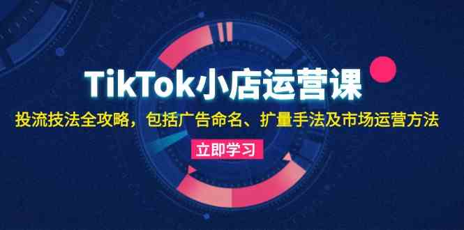 TikTok小店运营课：投流技法全攻略，包括广告命名 扩量手法及市场运营方法-一起网创