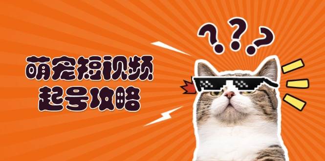 萌宠短视频起号攻略：定位搭建推流全解析，助力新手轻松打造爆款-一起网创