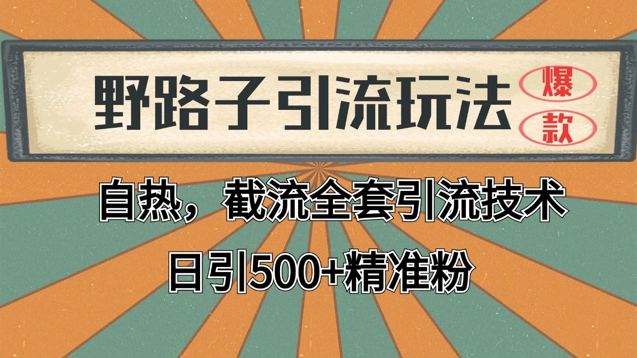 抖音小红书视频号全平台引流打法，全自动引流日引2000+精准客户-一起网创