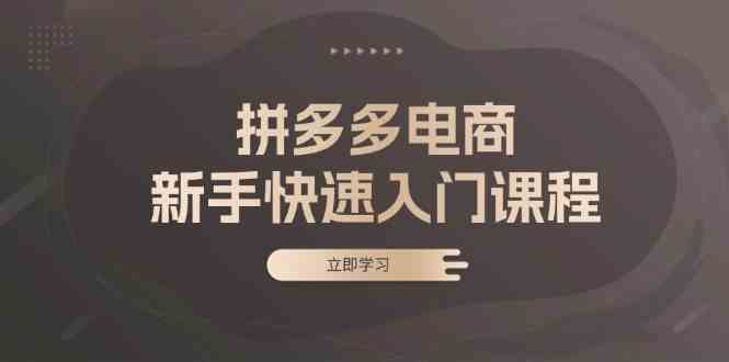 拼多多电商新手快速入门课程：涵盖基础、实战与选款，助力小白轻松上手-一起网创