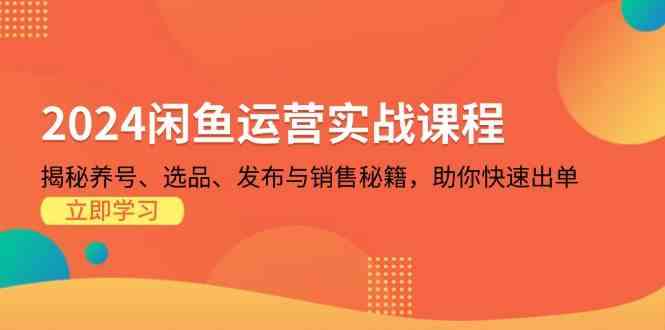 2024闲鱼运营实战课程：揭秘养号、选品、发布与销售秘籍，助你快速出单-一起网创
