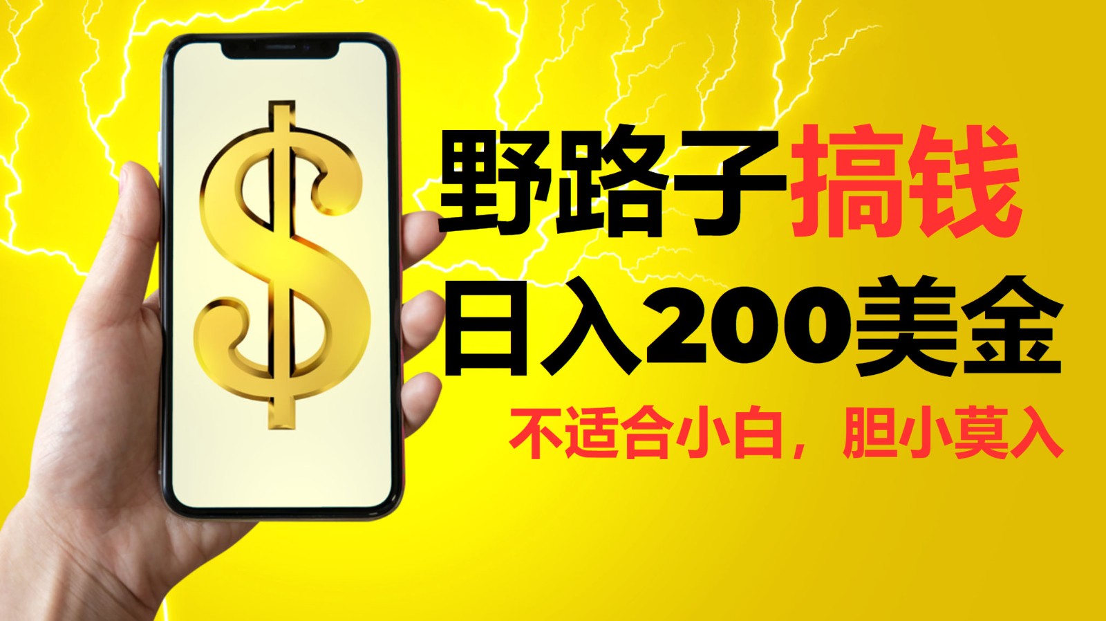 挂机野路子搞钱，日入200美金，路子很野，小白莫入-一起网创