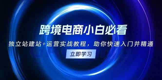 跨境电商小白必看！独立站建站+运营实战教程，助你快速入门并精通-一起网创
