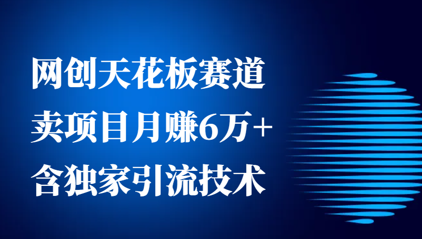 网创天花板赛道，卖项目月赚6万+，含独家引流技术（共26节课）-一起网创