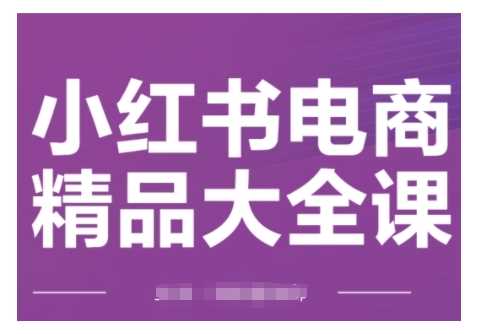 小红书电商精品大全课，快速掌握小红书运营技巧，实现精准引流与爆单目标，轻松玩转小红书电商-一起网创