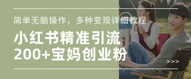 小红书混剪日引200+宝妈创业粉，简单无脑操作，多种变现详细教程-一起网创