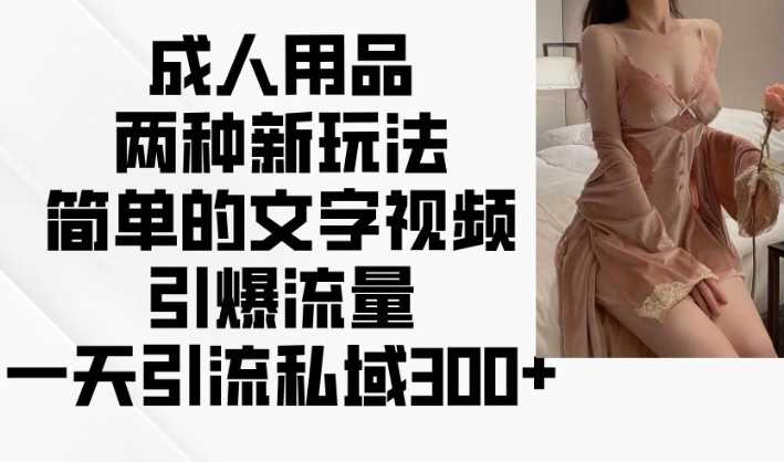 成人用品两种新玩法，简单的文字视频引爆流量，一天引流私域300+-一起网创