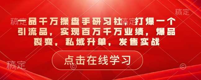 一品千万操盘手研习社，打爆一个引流品，实现百万千万业绩，爆品裂变，私域升单，发售实战-一起网创