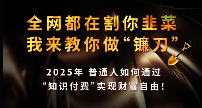 全网都在割你韭菜，我来教你做镰刀，2025年普通人如何通过 知识付费 实现财F自由【揭秘】-一起网创