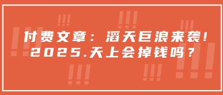 付费文章：滔天巨浪来袭！2025天上会掉钱吗？-一起网创