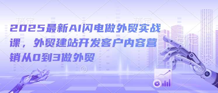 2025最新AI闪电做外贸实战课，外贸建站开发客户内容营销从0到3做外贸-一起网创