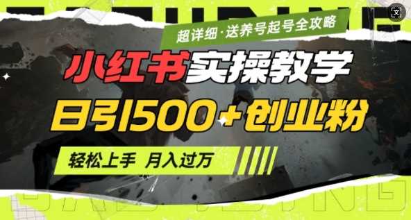 2月小红书最新日引500+创业粉实操教学【超详细】小白轻松上手，月入1W+，附小红书养号起号SOP-一起网创