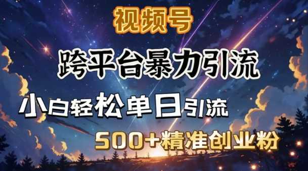 跨平台暴力引流，私域完美闭环，日引500+精准创业粉-一起网创