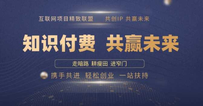 别人苦寻无果，为何他们靠知识付费卖项目 2025 年轻松年入100个?【揭秘】-一起网创