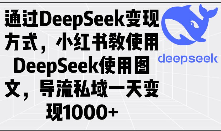 （14179期）通过DeepSeek变现方式，小红书教使用DeepSeek图文，导流私域一天变现1000+-一起网创
