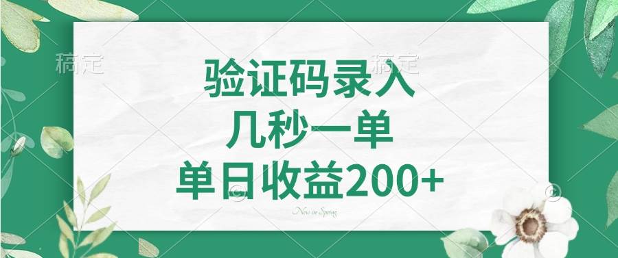 （14221期）验证码录入，几秒一单，单日收益200+-一起网创
