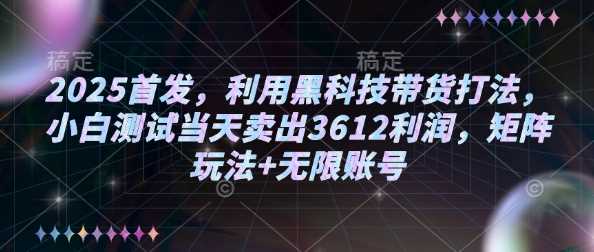 2025首发，利用黑科技带货打法，小白测试当天卖出3612利润，矩阵玩法+无限账号【揭秘】-一起网创