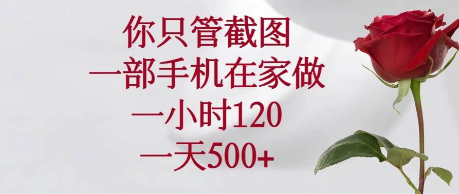（14248期）你只管截图，一部手机在家做，一小时120，一天500+-一起网创