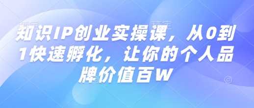 知识IP创业实操课，从0到1快速孵化，让你的个人品牌价值百W-一起网创