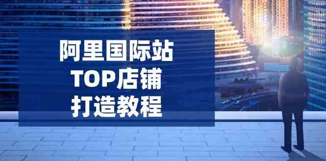 阿里国际站TOP店铺打造教程：涵盖平台到高阶，解决运营难题，提升询盘-一起网创