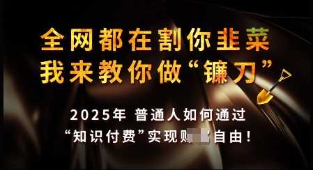 知识付费如何做到月入过W+，2025我来教你做“镰刀”【揭秘】-一起网创