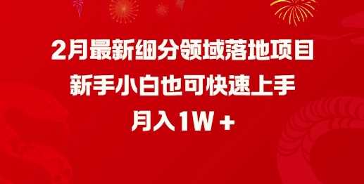 2月最新细分领域落地项目，新手小白也可快速上手，月入1W-一起网创