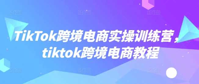 TikTok跨境电商实操训练营，tiktok跨境电商教程-一起网创