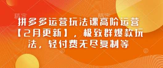 拼多多运营玩法课高阶运营【2月更新】，极致群爆款玩法，轻付费无尽复制等-一起网创
