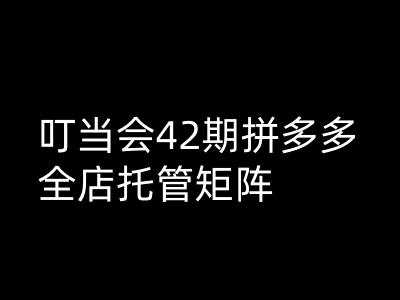 叮当会拼多多打爆班原创高阶技术第42期，拼多多全店托管矩阵-一起网创