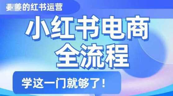 小红书电商全流程，精简易懂，从入门到精通，学这一门就够了-一起网创