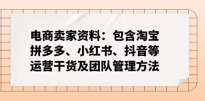 （14354期）电商卖家资料：包含淘宝、拼多多、小红书、抖音等运营干货及团队管理方法-一起网创