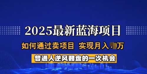 2025蓝海项目，普通人如何通过卖项目，实现月入过W，全过程【揭秘】-一起网创