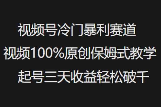 视频号冷门暴利赛道视频100%原创保姆式教学起号三天收益轻松破千-一起网创