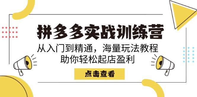 （14392期）拼多多实战训练营，从入门到精通，海量玩法教程，助你轻松起店盈利-一起网创