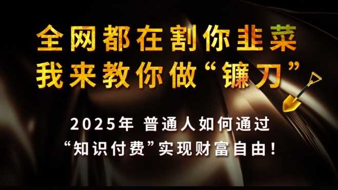 全网都在割你韭菜，我来教你做镰刀,2025普通人如何通过知识付费，实现财F自由【揭秘】-一起网创
