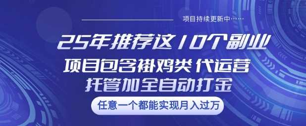 25年推荐这10个副业项目包含褂鸡类、代运营托管类、全自动打金类【揭秘】-一起网创