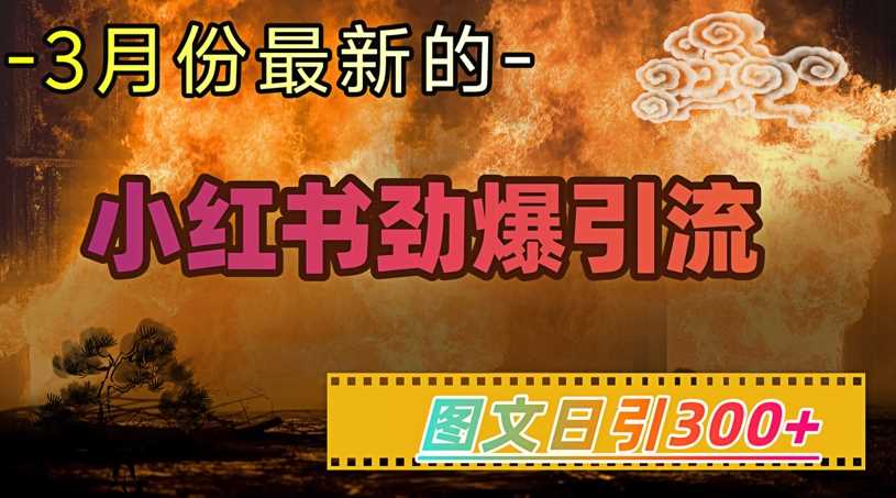 小红书超劲爆引流手段，图文日引300+轻松变现1W-一起网创