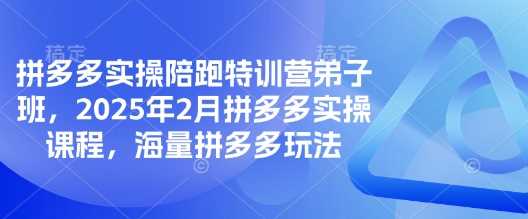 拼多多实操陪跑特训营弟子班，2025年2月拼多多实操课程，海量拼多多玩法-一起网创