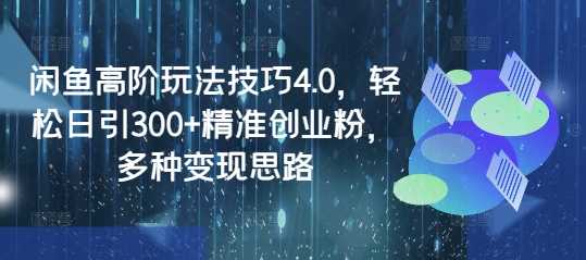 闲鱼高阶玩法技巧4.0，轻松日引300+精准创业粉，多种变现思路-一起网创