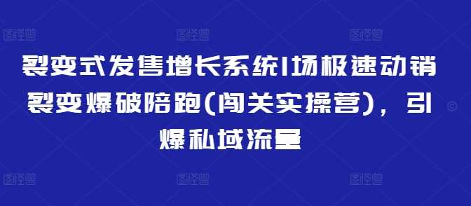 裂变式发售增长系统1场极速动销裂变爆破陪跑(闯关实操营)，引爆私域流量-一起网创