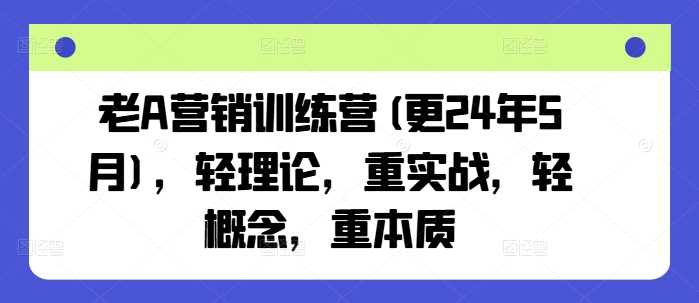 老A营销训练营(更25年3月)，轻理论，重实战，轻概念，重本质-一起网创