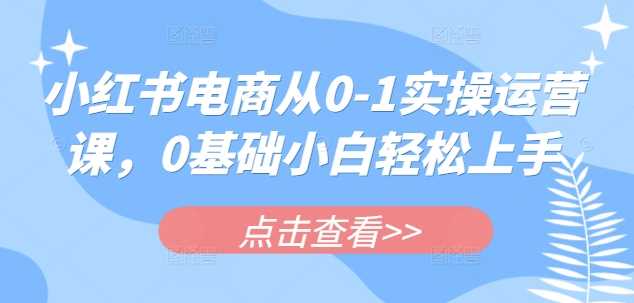 小红书电商从0-1实操运营课，0基础小白轻松上手-一起网创