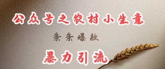 deepseek写农村小项目，条条爆款，暴力引流-一起网创